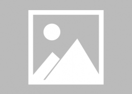 度飞娱乐,引领潮流的娱乐新势力